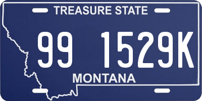 MT license plate 991529K