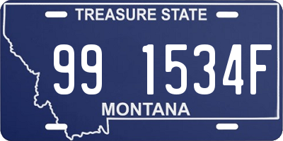 MT license plate 991534F