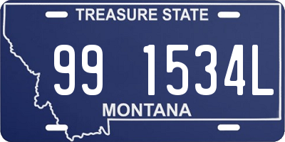 MT license plate 991534L