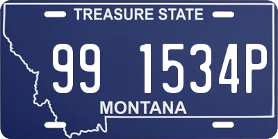 MT license plate 991534P