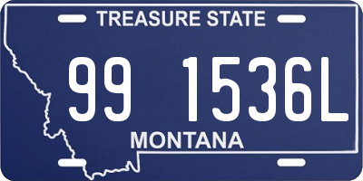 MT license plate 991536L