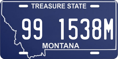 MT license plate 991538M