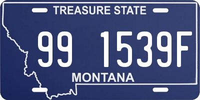 MT license plate 991539F