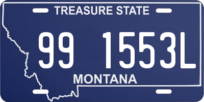 MT license plate 991553L