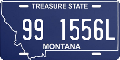 MT license plate 991556L