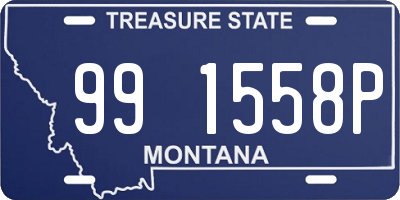 MT license plate 991558P