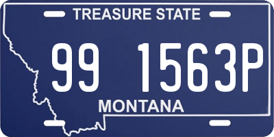 MT license plate 991563P