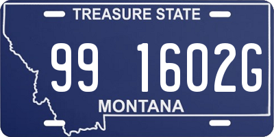 MT license plate 991602G