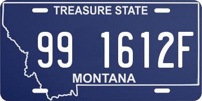 MT license plate 991612F