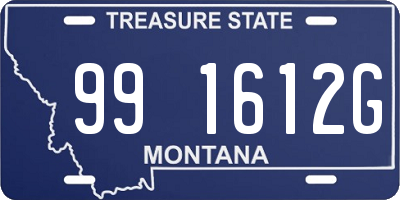 MT license plate 991612G