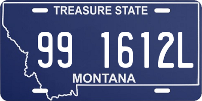 MT license plate 991612L