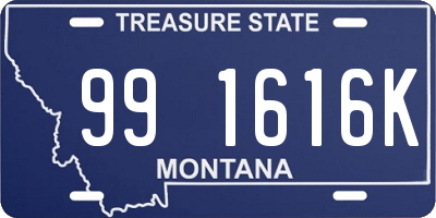 MT license plate 991616K