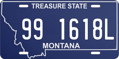 MT license plate 991618L