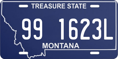 MT license plate 991623L