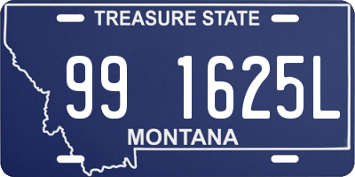 MT license plate 991625L