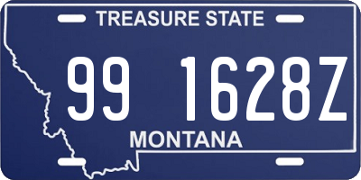 MT license plate 991628Z