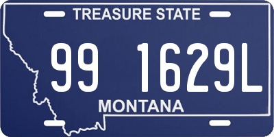 MT license plate 991629L