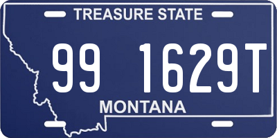 MT license plate 991629T