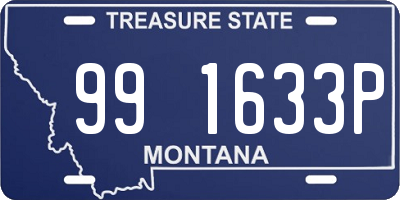 MT license plate 991633P