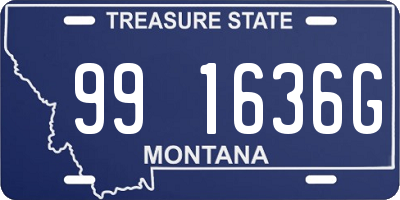 MT license plate 991636G