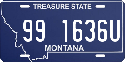 MT license plate 991636U