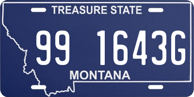 MT license plate 991643G