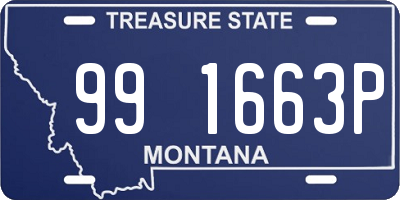 MT license plate 991663P