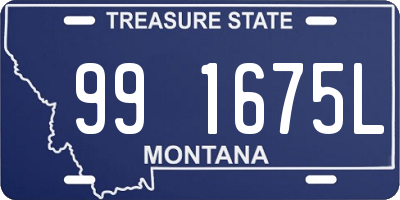 MT license plate 991675L