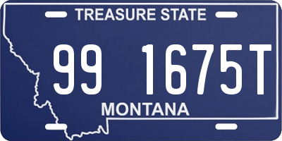 MT license plate 991675T