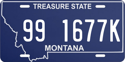 MT license plate 991677K