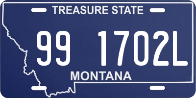 MT license plate 991702L