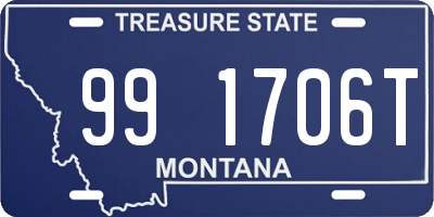 MT license plate 991706T