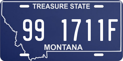 MT license plate 991711F