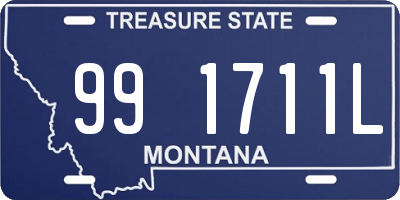 MT license plate 991711L