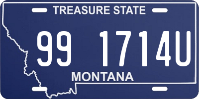 MT license plate 991714U