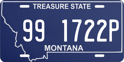 MT license plate 991722P