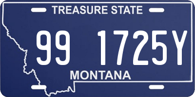 MT license plate 991725Y