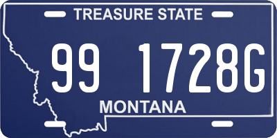 MT license plate 991728G