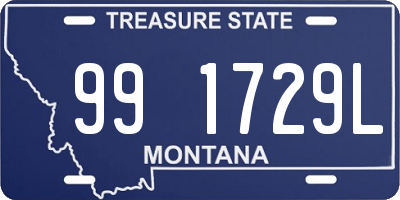 MT license plate 991729L