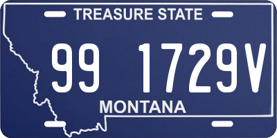 MT license plate 991729V