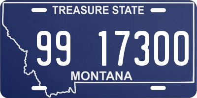 MT license plate 991730O