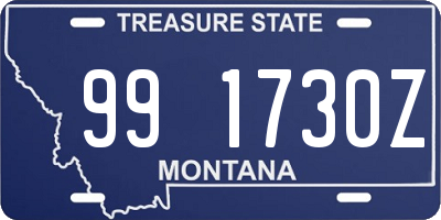 MT license plate 991730Z