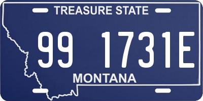 MT license plate 991731E