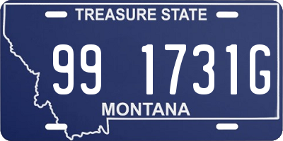 MT license plate 991731G