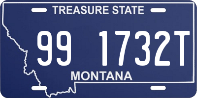 MT license plate 991732T