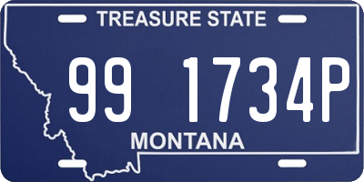 MT license plate 991734P