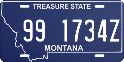 MT license plate 991734Z