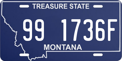 MT license plate 991736F