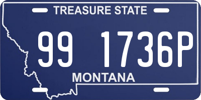 MT license plate 991736P