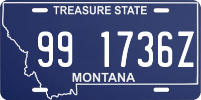 MT license plate 991736Z